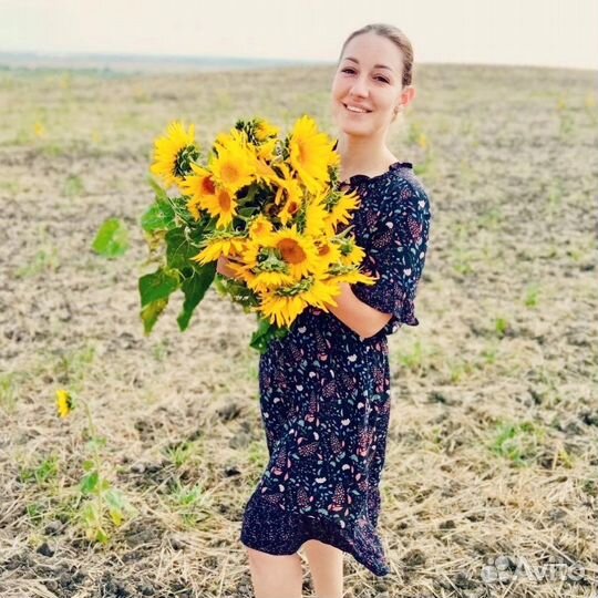 Обучение ведущий игры Лила онлайн