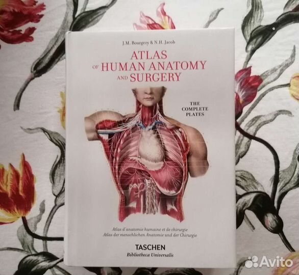 Atlas of human anatomy and surgery Тaschen