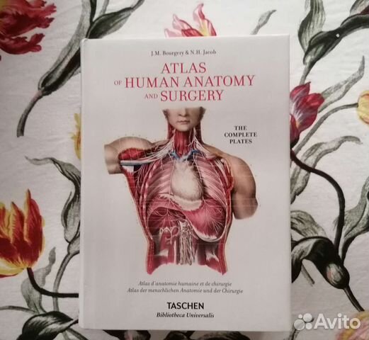 Atlas of human anatomy and surgery Тaschen