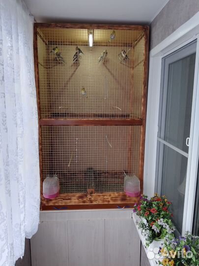 Вольер С птицей
