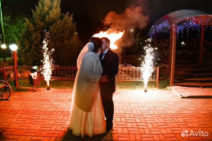 Ведущий тамада на свадьбу и диджей