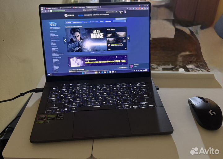 Asus rog zephyrus g14 2024 4060 r9-8945HS