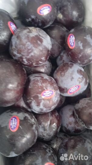 Слива на чачу