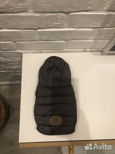 Комбинезон попона для маленькой собаки