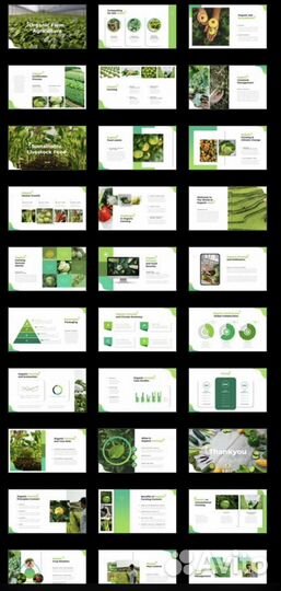 Создание уникальных презентаций в PowerPoint