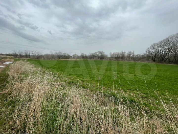 Участок 1,5 га (СНТ, ДНП)