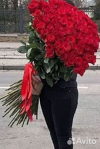 Розы гиганты 140 150 160 170 180 200