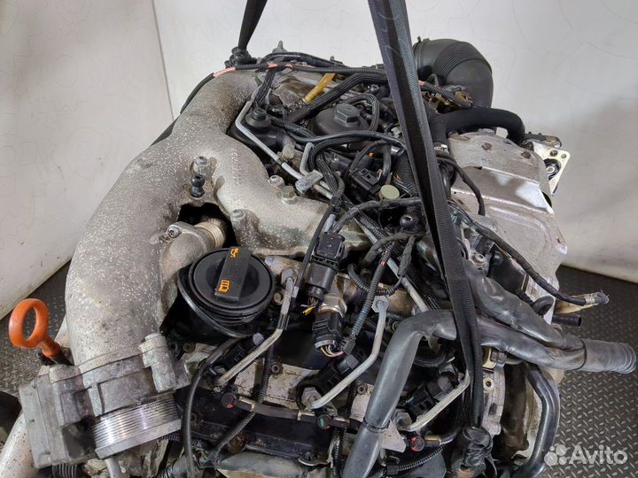 Двигатель Volkswagen Phaeton cara 3 Дизель, 2007