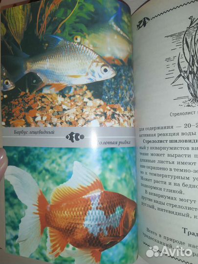 Книга про аквариумных рыбок