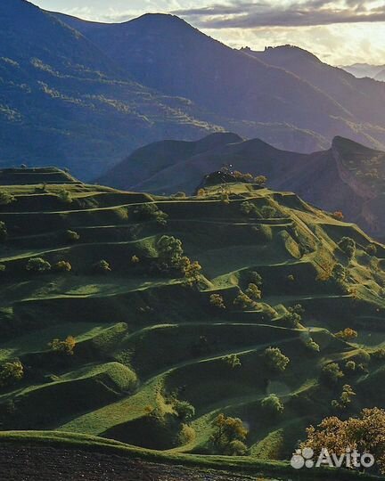 Тур в Дагестан 6 дней все включено