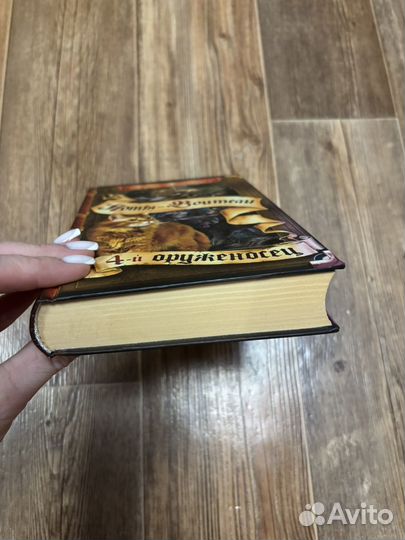 Коы воители Четвертый оруженосец