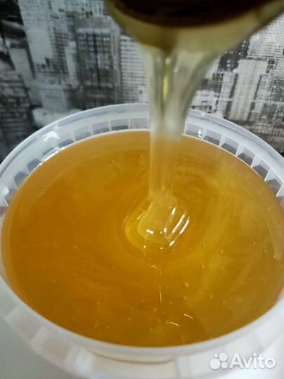 Белый донниковый мёд от частной пасеки