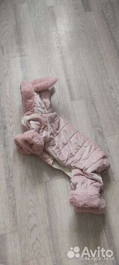 Одежда для собак мелких пород