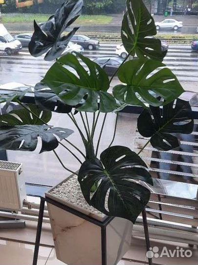 Искусственные деревья пальмы фикус бамбук терраса