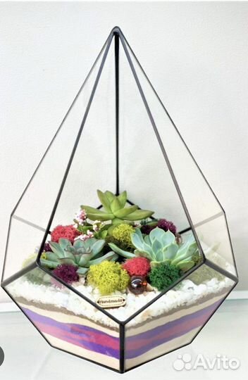 Флорариум новый