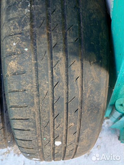 Nexen WinSpike 195/65 R15