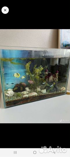 Аквариум