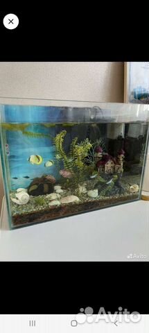 Аквариум