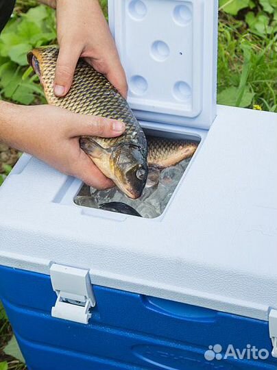 Термоконтейнер Арктика 40л