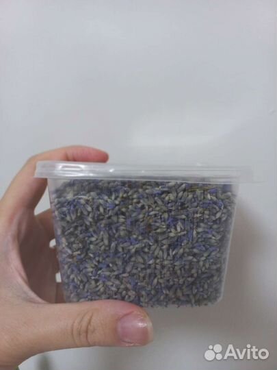 Лаванда сухоцвет