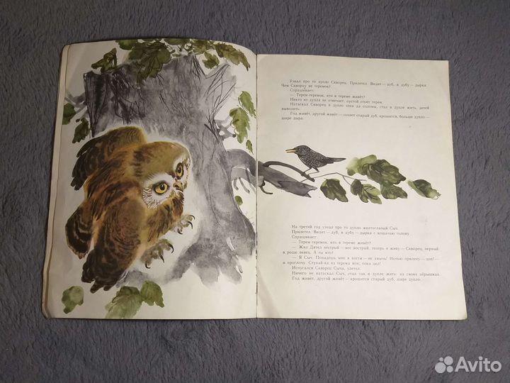 Виталий Бианки Теремок 1981г