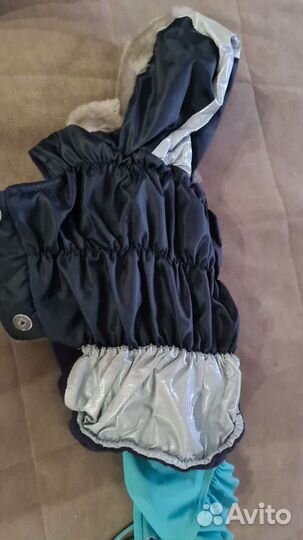 Одежда для английского бульдога