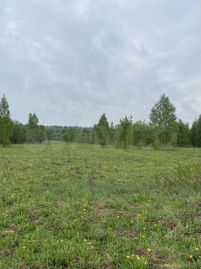 Участок 2,95 га (СНТ, ДНП)