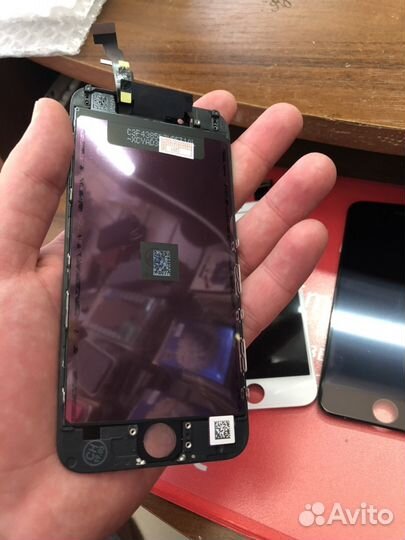 Дисплей на iPhone 5/5s/6/6s/7/7 plus/8/8pus/x/xs/x