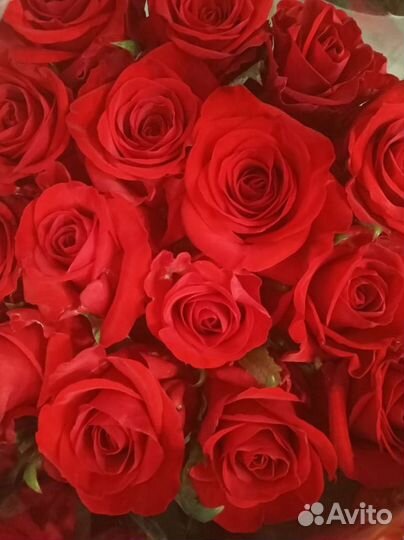 Розы оптом