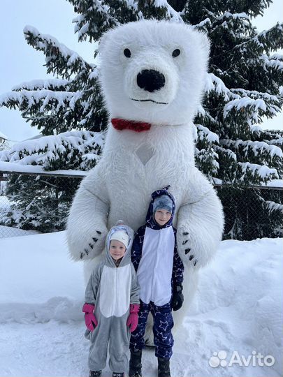 Поздравление от 3м белого медведя аниматор