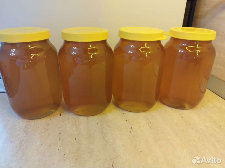 Мед цветочный с рапсом. Бесплатная доставка