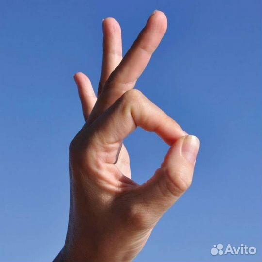 Всегда порядок