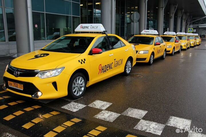 Путевые листы для таксиста регистрация ип лицензия