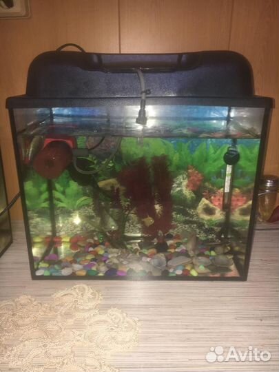 Аквариум