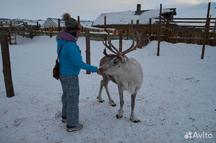 Зимний тур в Териберку