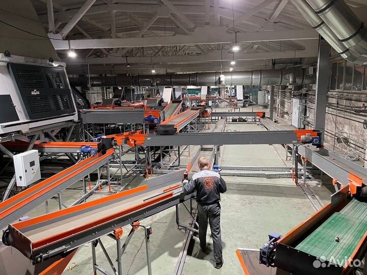 Линия сортировки овощей