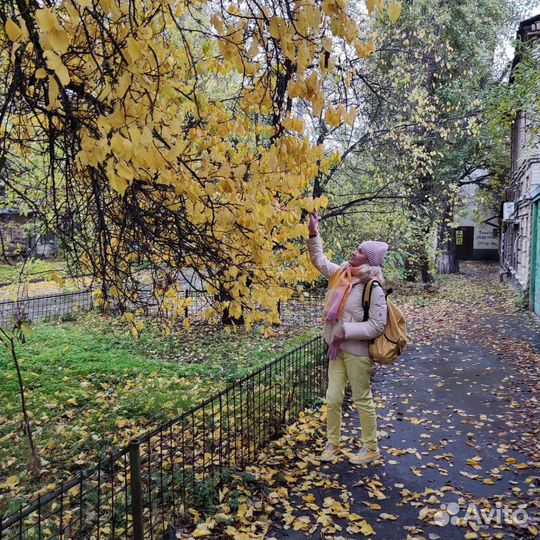 Подготовка к ВПР