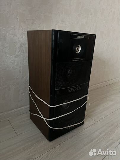 Колонки Вега 50ас 106