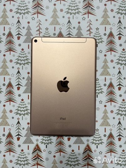 iPad mini 5 wifi+cellular 64gb