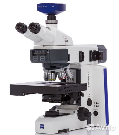 Бинокулярный микроскоп