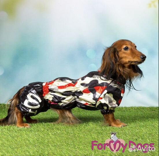 Дождевик для таксы