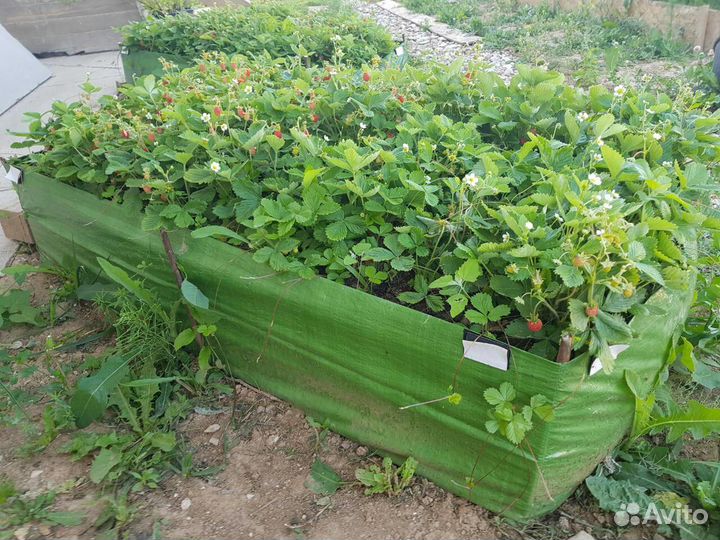 Чехол для багажника авто