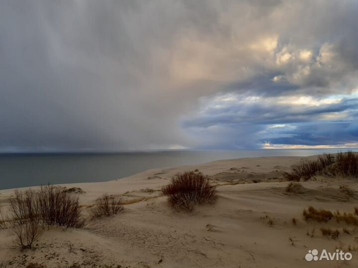 Куршская коса экскурсия
