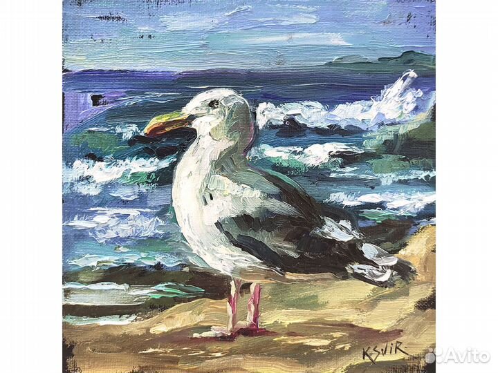 Картина чайка, морская птица, картина маслом 20х20
