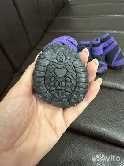 Ботинки для собак