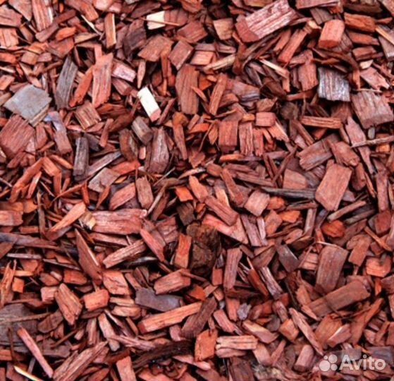 Кора лиственницы