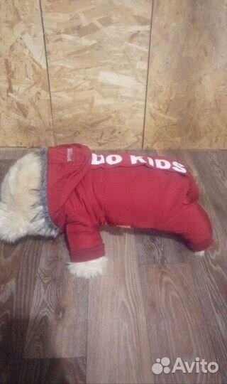 Зимний и демисезонный комбинезоны, дождевик для со