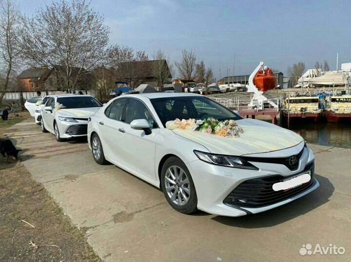 Свадебный кортеж 70