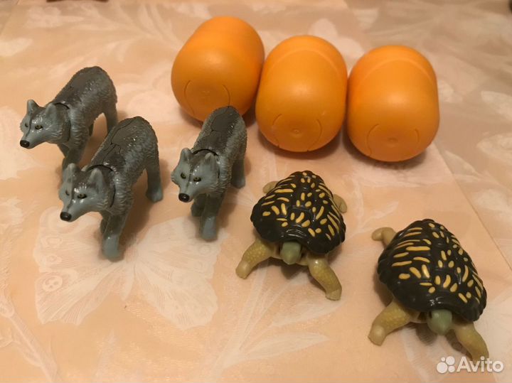 Kinder Natoons