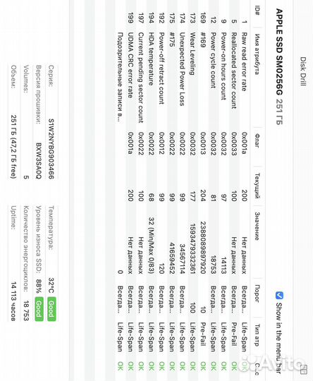 Apple SSD 251GB SM0256G